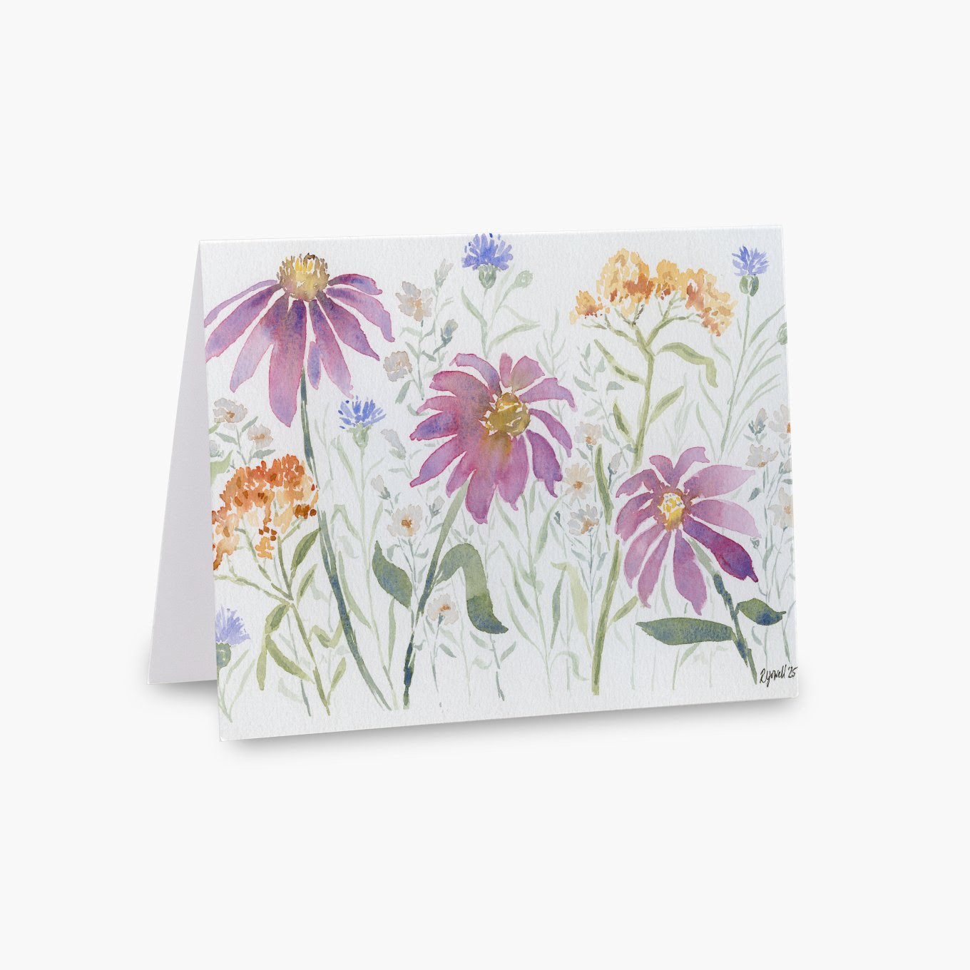 Watercolor notecard of purple coneflowers, orange butterfly weed, and blue cornflowers on slender green stems